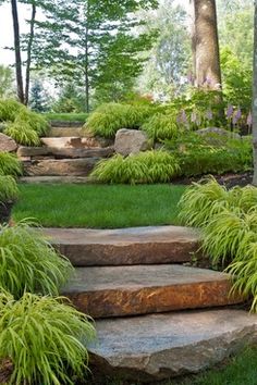 stone steps lead up to a lush green garden