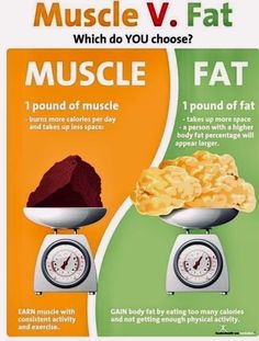 Exercise Poster, Fitness Poster, Body Fat Percentage, Workout Posters, Pound Of Fat, Reduce Body Fat, Nutrition Education, Body Composition, Fat To Fit