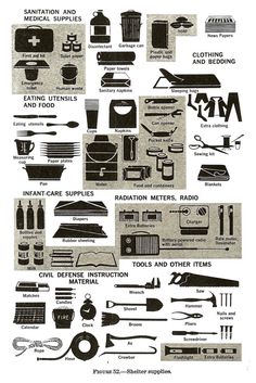 Survival Checklist Apocalypse Supplies, Miejski Survival, Emergency Planning, Donald Fagen, Bug Out Bag Checklist, Fallout Shelter, Bag Checklist, Emergency Preparation