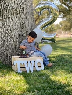 a young boy sitting on top of a box next to a tree with balloons in the shape of two