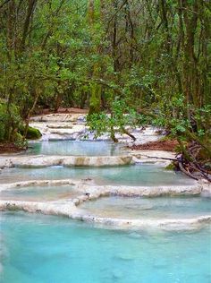 the blue water is flowing through the woods