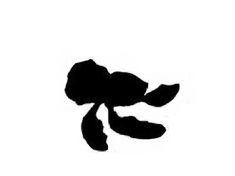 the silhouette of a flower on a white background