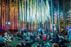 a group of people sitting on the ground in front of trees with colorful lights hanging from them