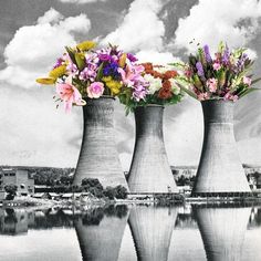 three vases filled with flowers sitting on top of a lake next to each other