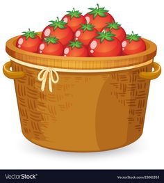 a basket full of tomatoes on a white background