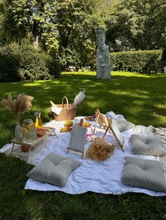 an outdoor picnic is set up in the grass with pillows and other items on it