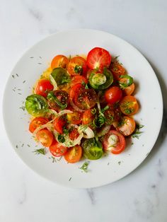 a white plate topped with lots of different types of tomatoes and lettuce on top of a table