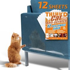 an orange cat sitting on its hind legs in front of a blue chair with magazine rack