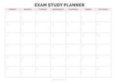 the printable exam study planner is shown in pink and white, with black lines on it