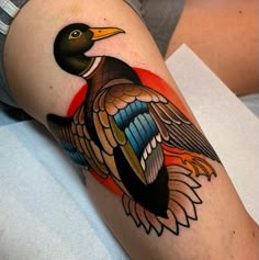 a colorful bird tattoo on the arm