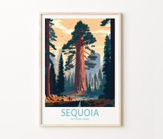 a framed poster of sequia national park in the usa with trees and mountains