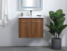 a bathroom vanity with a mirror above it and a potted plant next to it