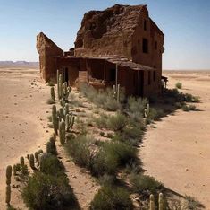 an old house in the desert with cactus and cacti growing out of it