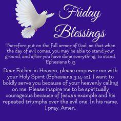 a white dove with the words friday blessing