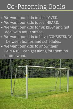 a soccer goal with the words co - parenting goals