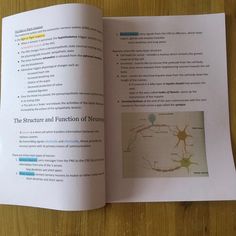 an open book with information about neurons on it