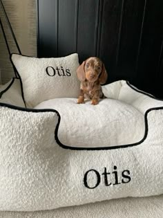 a small dog sitting on top of a bed with the words otis written on it