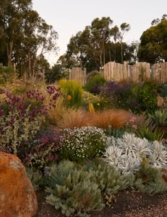 the garden is full of colorful flowers and plants