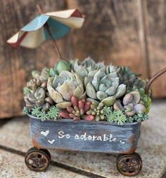 a small wooden wagon filled with succulents and an umbrella