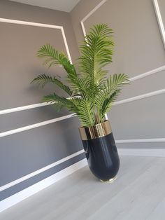 a potted plant sitting on top of a wooden floor next to a gray wall