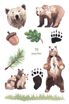 an illustrated book with bears and pine cones on it's cover, including the words 10 png files