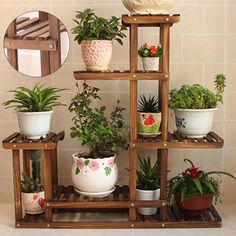 there are many potted plants on the shelves