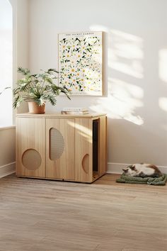 a cat laying on top of a wooden cabinet next to a plant in a room