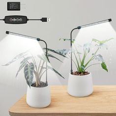 two planters with plants in them sitting on a table next to an external charger