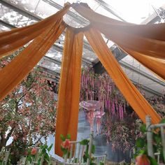 the inside of a greenhouse with lots of flowers hanging from it's ceiling and draping