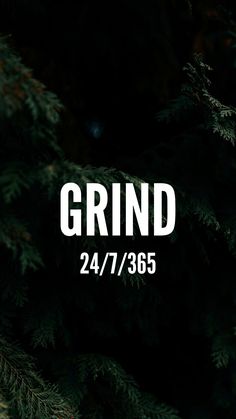 the words grind are written in white on a dark background with pine needles and branches