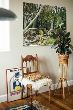 a wooden chair sitting next to a potted plant on top of a hard wood floor