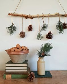 some pine cones are hanging from a branch on a wall next to books and a vase