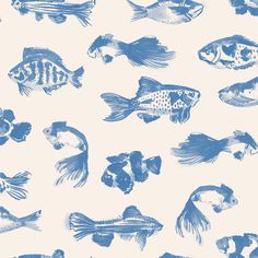 a blue and white fish wallpaper with different types of fish on it's side