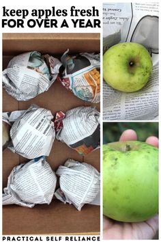 there are pictures of apples and newspaper in this collage with the words, keep apples fresh for over a year practical self reliance