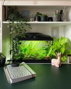 an aquarium with plants and books on a table next to a bookcase full of books