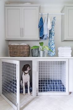 a dog is sitting in his kennel under the cabinets