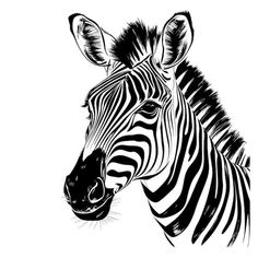 a black and white drawing of a zebra's head