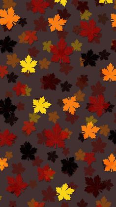 an image of autumn leaves on a brown background