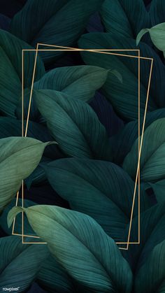 green leaves with gold rectangles in the middle and an image of a plant behind it