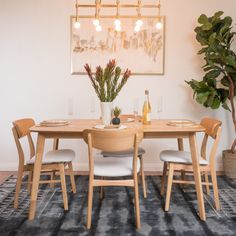 a dining table with four chairs and a potted plant in the corner next to it