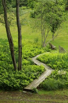 a wooden path in the middle of a lush green field