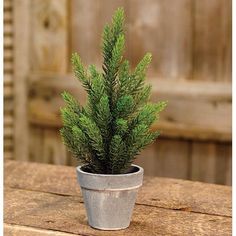 a small potted plant sitting on top of a wooden table