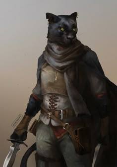 a black cat dressed as a knight holding two swords and wearing a cape with yellow eyes