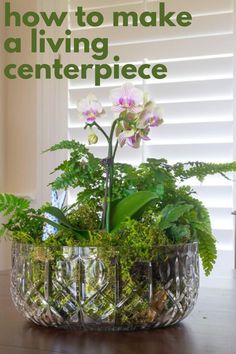 a glass bowl with plants in it and the words how to make a living centerpiece