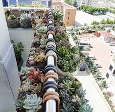 there are many succulents in the planter on the roof top deck