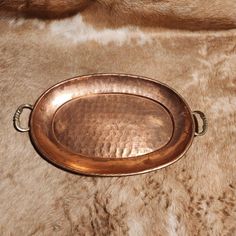 a metal tray sitting on top of a fur covered floor