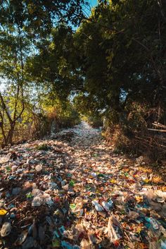 a dirt road covered in lots of trash next to trees and bushes on both sides