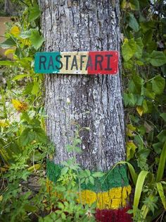 a sign on a tree that says rastafari