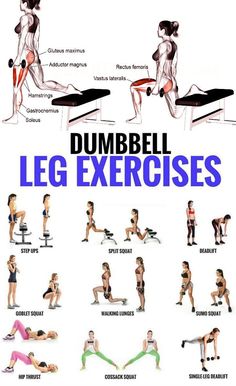 the dumbbell leg exercises poster is shown