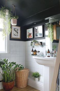 the bathroom is decorated with plants and pictures on the wall above the sink, along with a ladder leading up to the toilet